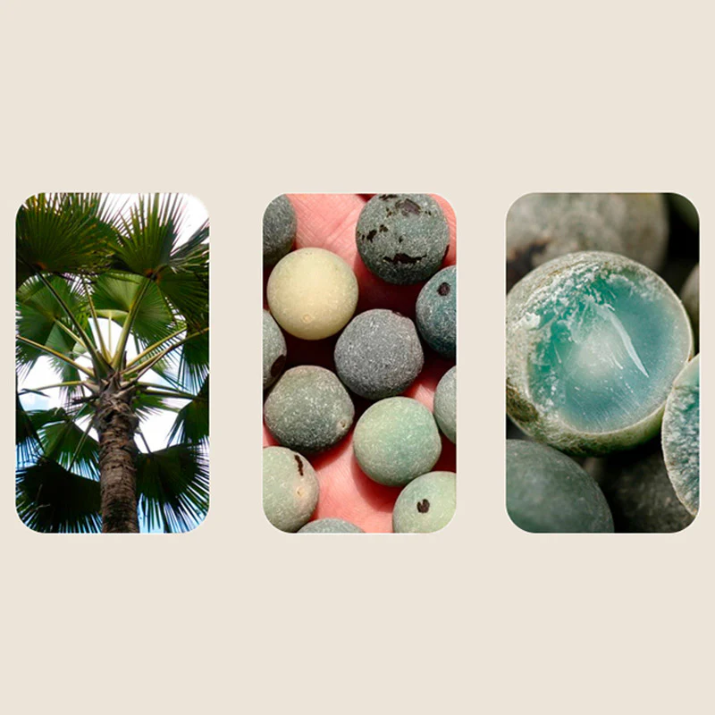 Buddha Stones 108 Perle Bodhi Seed Benedizione Meditazione Bracciale Mala - Image 11