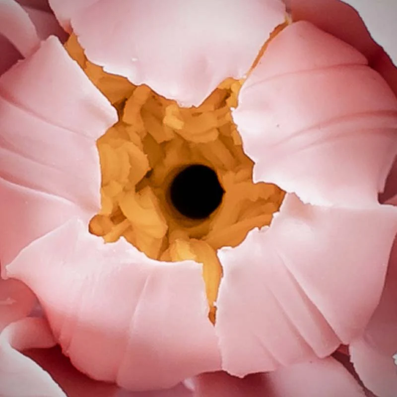 Buddha Stones, bruciatore di incenso in ceramica con benedizione del loto tibetano, decorazione - Image 5